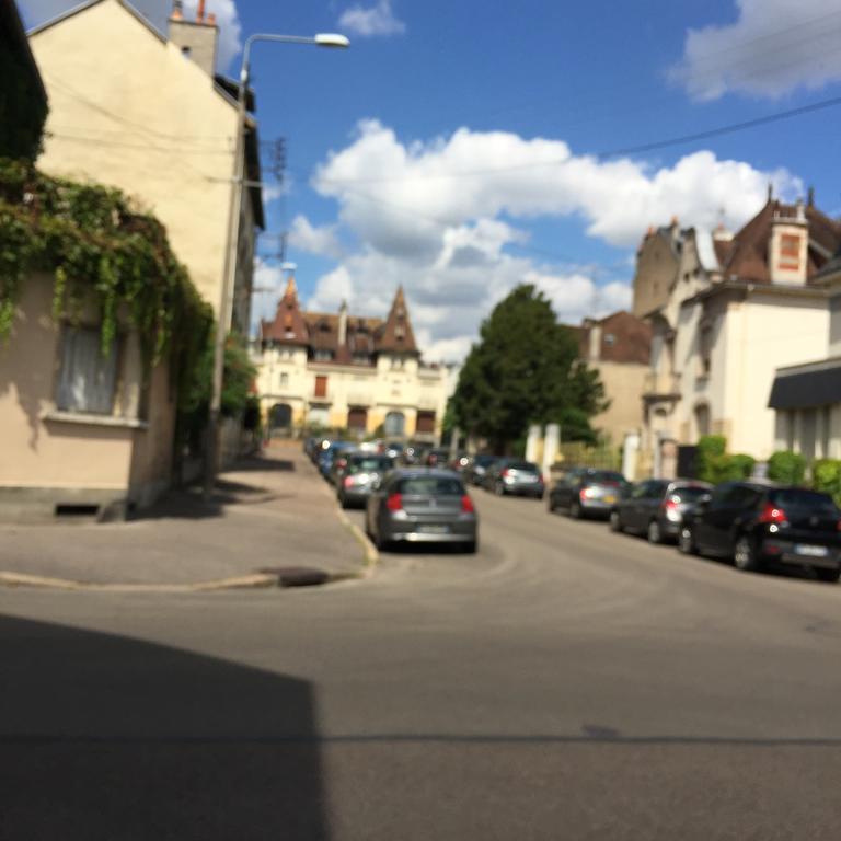 Ideal Art Deco Compris Un Parking Prive Securise Darcy Liberte Centre Gare-Ville Dijon Ngoại thất bức ảnh