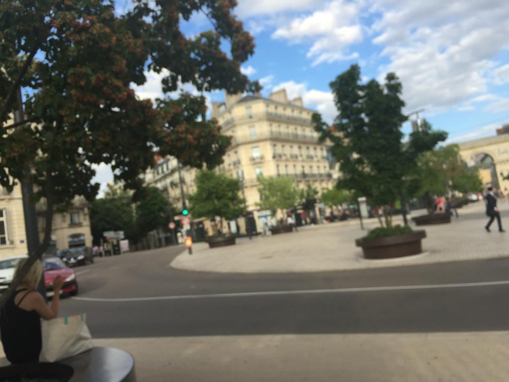 Ideal Art Deco Compris Un Parking Prive Securise Darcy Liberte Centre Gare-Ville Dijon Ngoại thất bức ảnh